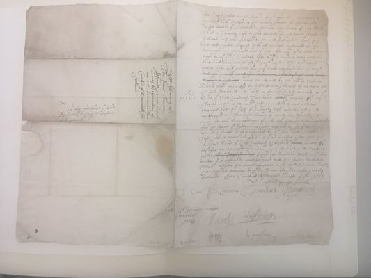 Smith College: England and Wales. Privy Council. [Document] 1601 Feb., Court at Richmond (1601) (MiscMS 426)